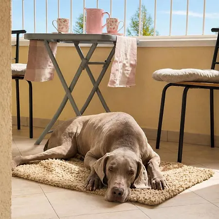 Apartment Family - Sunny Terrace - 3 Bedrooms - Ac